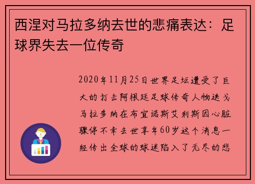 西涅对马拉多纳去世的悲痛表达：足球界失去一位传奇