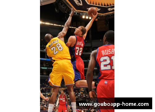 NBA各队最新排名出炉，湖人升至第二！有望成为下一个CBA冠军？