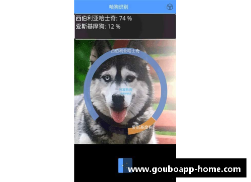狗博APP下载塞维利亚连续3轮不败，冲击联赛前四的强势崛起