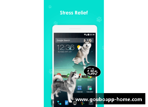 狗博官方APP下载闪耀绿茵场的传奇巨星们与他们的梦想与荣耀 - 副本