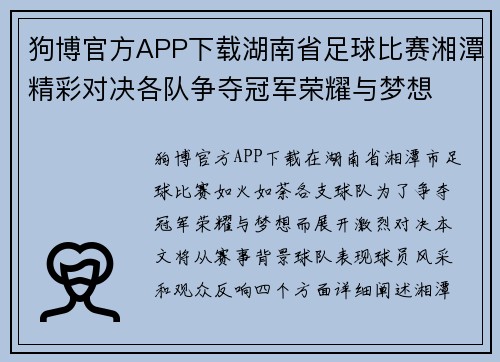 狗博官方APP下载湖南省足球比赛湘潭精彩对决各队争夺冠军荣耀与梦想