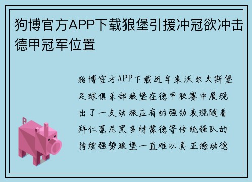 狗博官方APP下载狼堡引援冲冠欲冲击德甲冠军位置