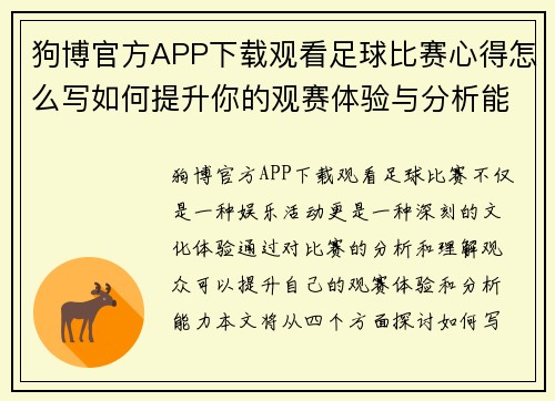 狗博官方APP下载观看足球比赛心得怎么写如何提升你的观赛体验与分析能力