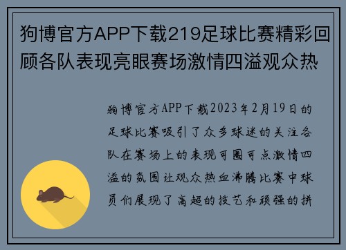 狗博官方APP下载219足球比赛精彩回顾各队表现亮眼赛场激情四溢观众热情高涨